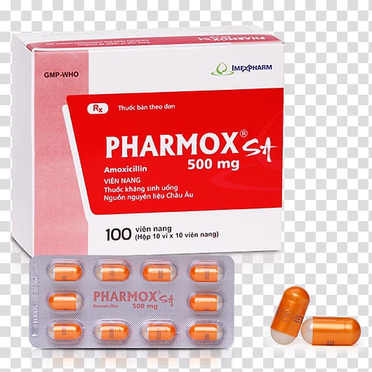 Amoxicillin Cefaclor Antibiotics Trimethoprim/sulfamethoxazole Excipient, hoa sứ transparent background PNG clipart