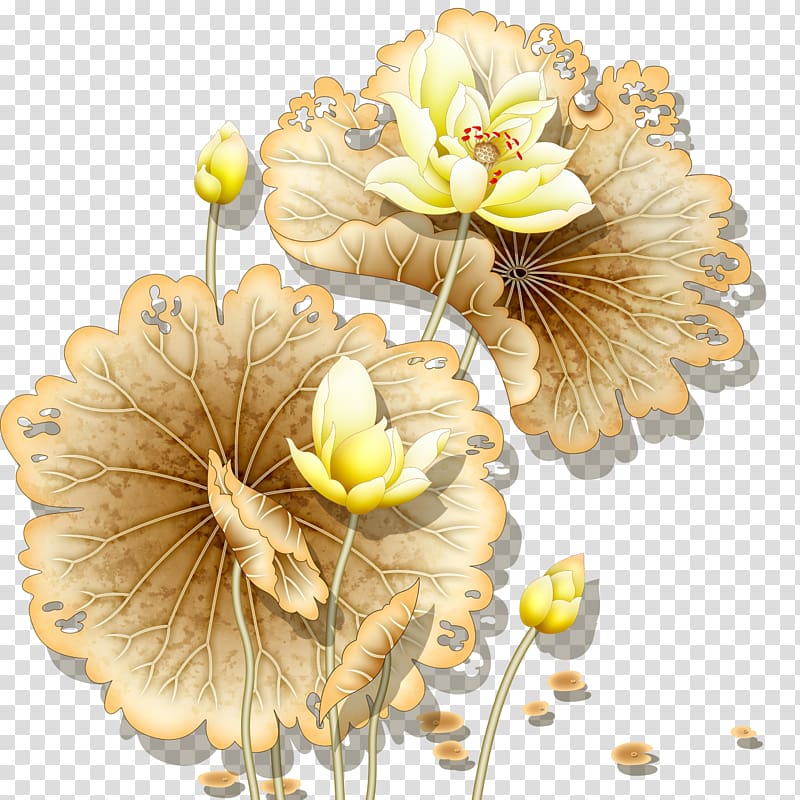 two yellow flowers illustration, Nelumbo nucifera Wall painting, Lotus transparent background PNG clipart