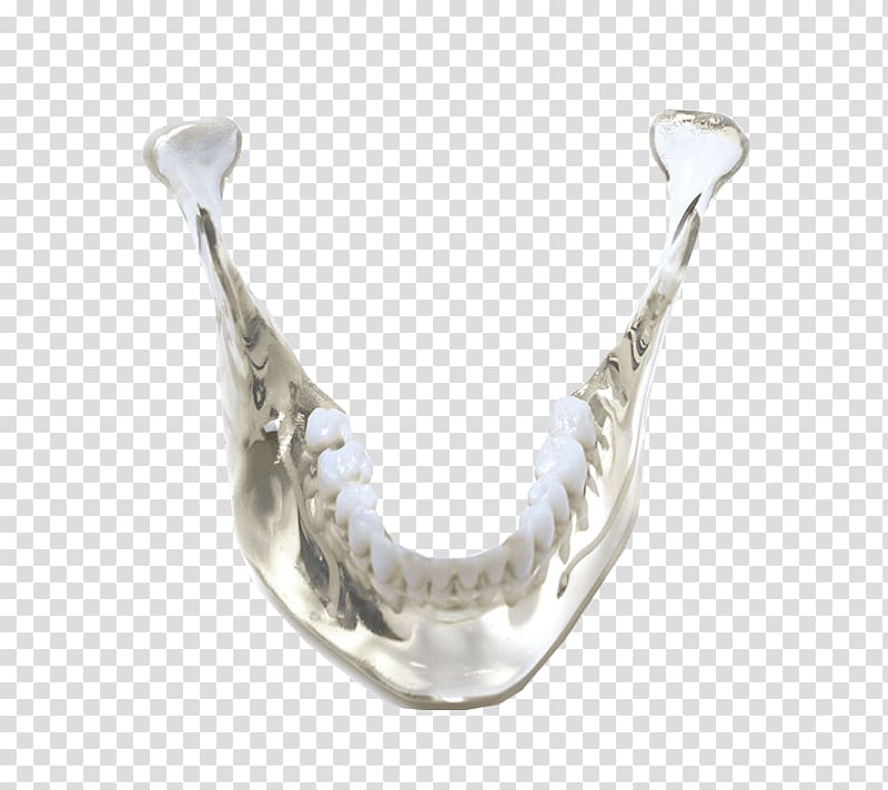 SculptCAD 3D printing Mandible Rapid prototyping, others transparent background PNG clipart