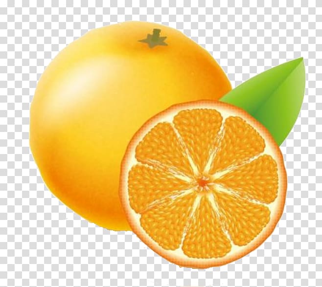 Clementine Orange Adobe Illustrator Icon, Chu orange free button elements transparent background PNG clipart