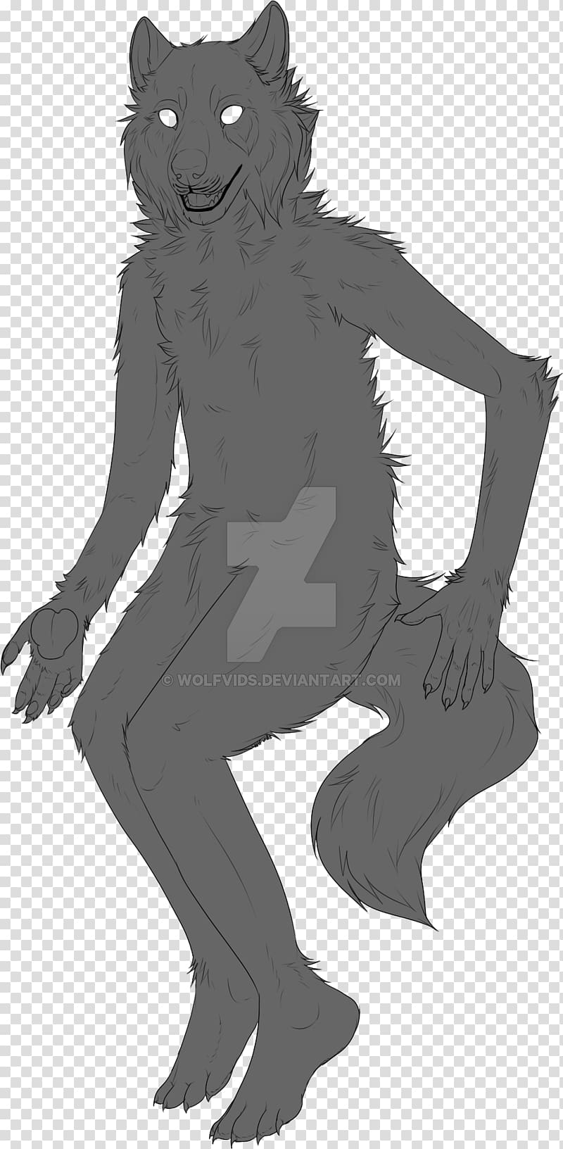 Cat Line art Drawing, werewolf transparent background PNG clipart