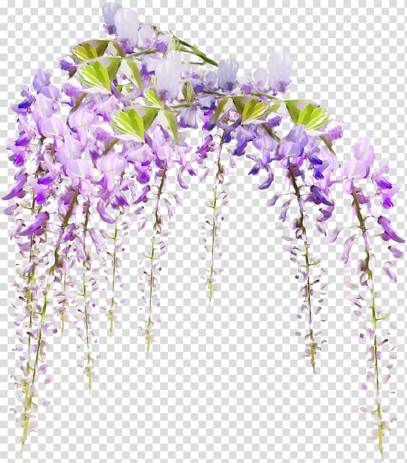 purple petaled flowers, Computer Software Sticker Raster graphics editor , wisteria transparent background PNG clipart
