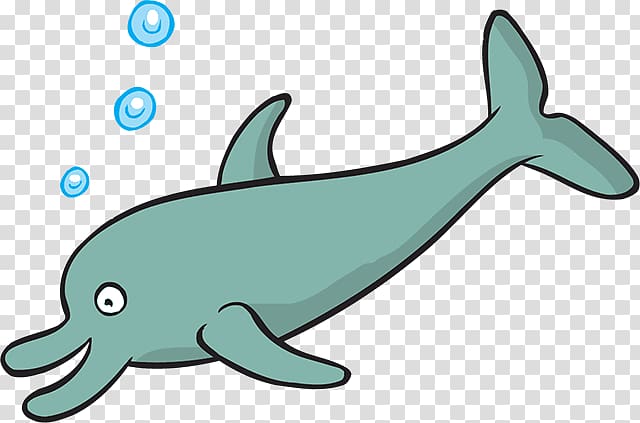 Common bottlenose dolphin Tucuxi Rough-toothed dolphin , Fish swimming transparent background PNG clipart