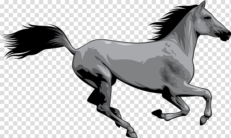 Mustang American Paint Horse Wild horse , horse transparent background PNG clipart