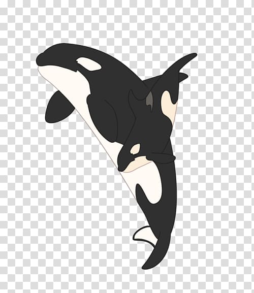 Southern resident killer whales Cetaceans Marine mammal , minke whale transparent background PNG clipart