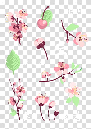 Pink Flower Cartoon png download - 2400*2400 - Free Transparent