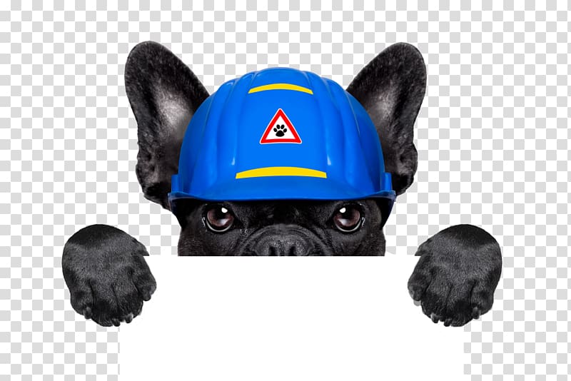 Golden Retriever Puppy Dog Daze Industrial Handyman, Creative puppy holding signs transparent background PNG clipart
