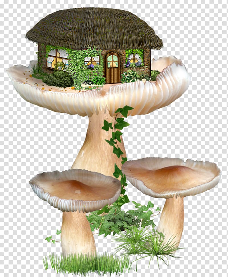 Portable Network Graphics Fairy House , Fairy transparent background PNG clipart