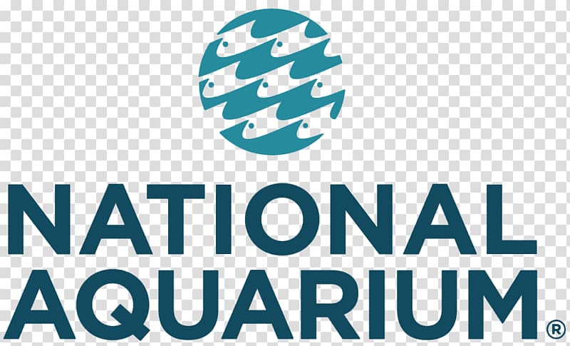 National Aquarium National Academy of Health & Business Pier V Parking East Pratt Street Public aquarium, National Appliance Energy Conservation Act transparent background PNG clipart