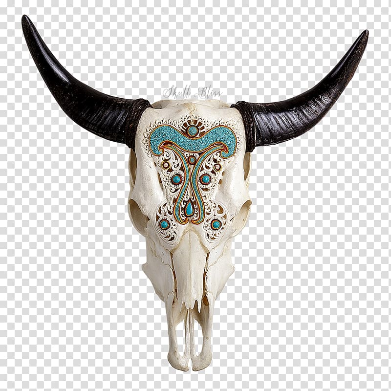 Texas Longhorn Skull Charolais cattle Bull, skull transparent background PNG clipart