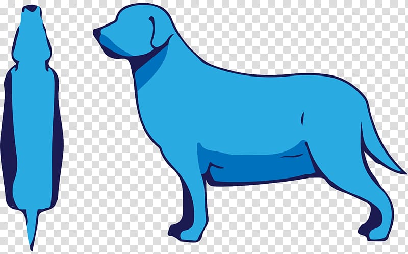 Dog breed Puppy Shar Pei Pet, body conditioning transparent background PNG clipart