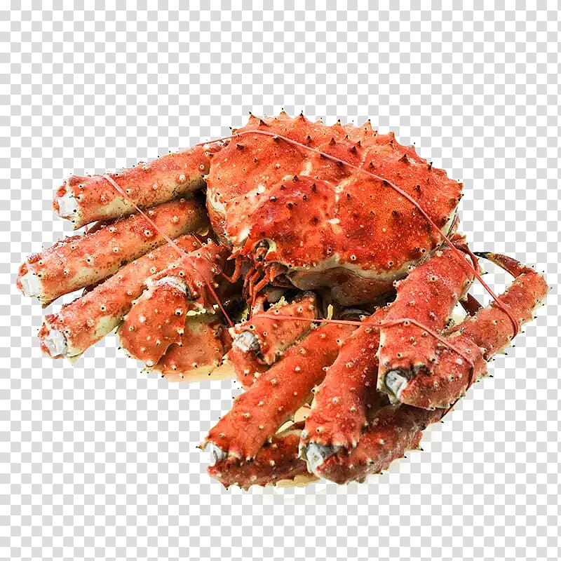 King crab Seafood Dungeness crab, King crab creative transparent background PNG clipart