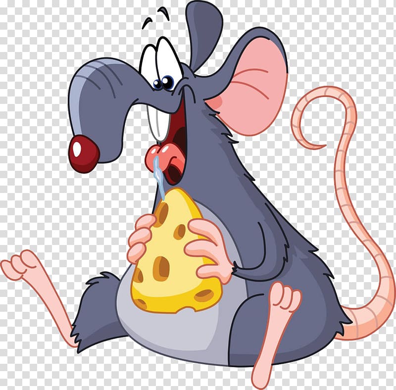 Rat Mouse Eating , Mouse eating cheese transparent background PNG clipart