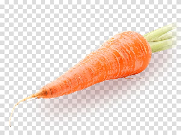 Baby carrot Vegetable Daikon Greater burdock, carrot transparent background PNG clipart