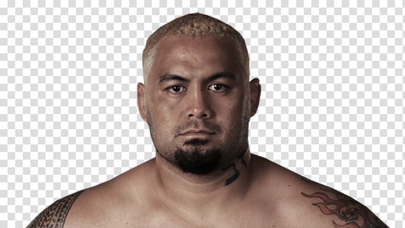 Mark Hunt UFC Fight Night 52: Hunt vs. Nelson Mixed martial arts Boxing Heavyweight, mixed martial artist transparent background PNG clipart