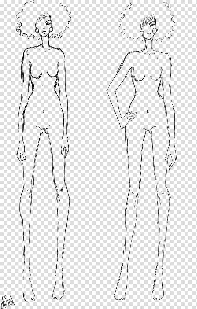 Human body Female body shape Diagram Drawing Template, Body Human  transparent background PNG clipart