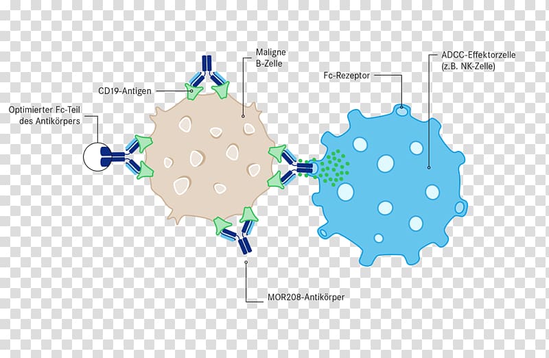 Management Research and development Protein Sciences Industrial design, natuer transparent background PNG clipart