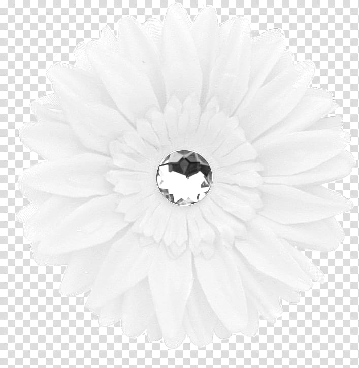 Transvaal daisy White, others transparent background PNG clipart