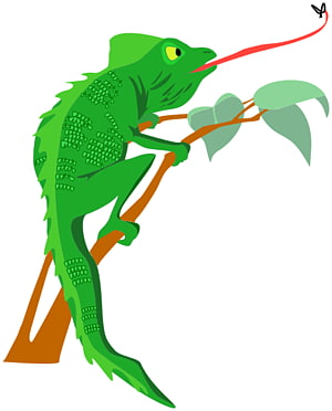 Chameleons Lizard , Charlemagne s transparent background PNG clipart thumbnail