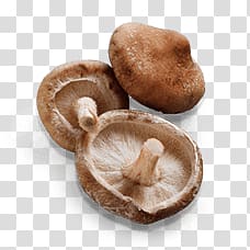 three brown mushrooms, Mushroom Shiitake transparent background PNG clipart