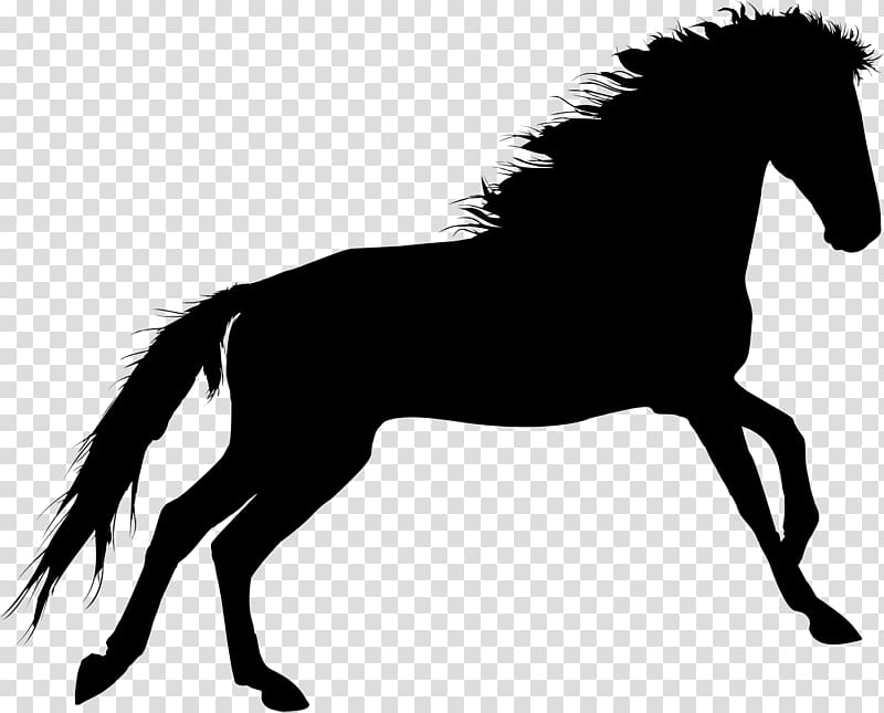 Horse Silhouette Pleasure riding , horse transparent background PNG clipart