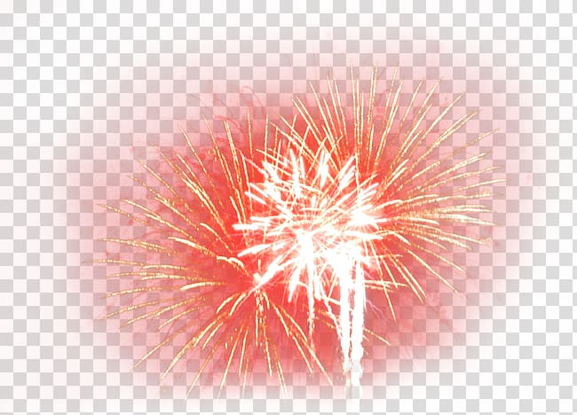 2016 San Pablito Market fireworks explosion, Fireworks HD material transparent background PNG clipart