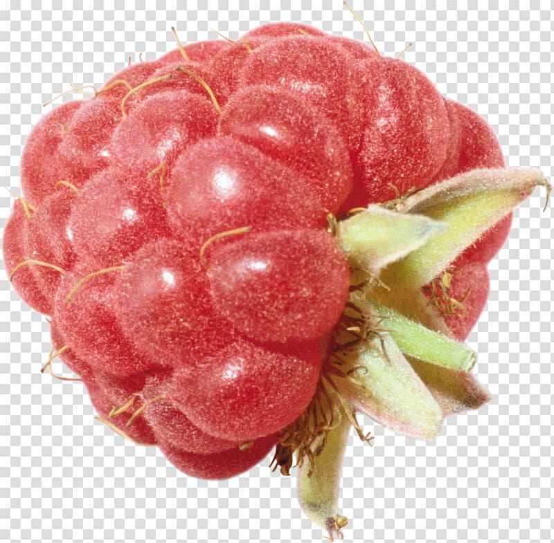 Raspberry , Rraspberry transparent background PNG clipart