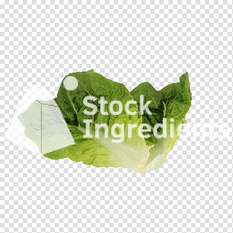 Romaine lettuce Spring greens Leaf vegetable Plastic, romaine lettuce transparent background PNG clipart