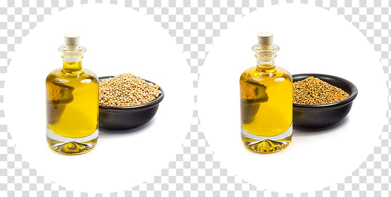 Seed oil Mahua Rapeseed Mustard oil, oil transparent background PNG clipart