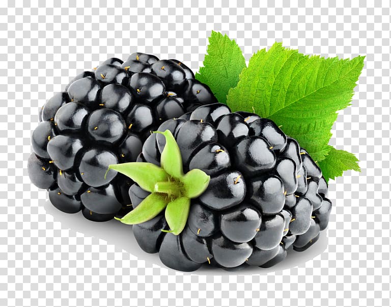 Blackberry pie Fruit, blackberry transparent background PNG clipart