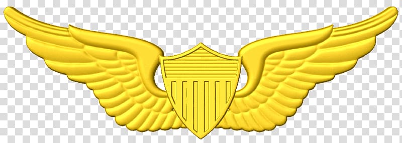 United States Astronaut Badge United States Aviator Badge United States of America, cnc army aviation wings transparent background PNG clipart