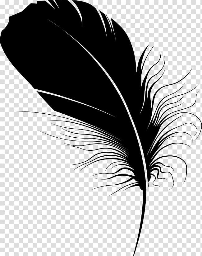 Feather Quill Pen Black, Black feather quill pen transparent background PNG clipart
