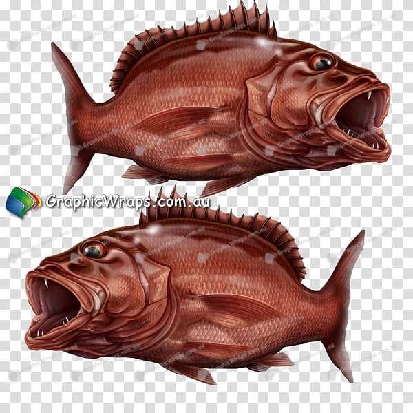 Fish Carp Mangrove Sticker Sump, mangrove transparent background PNG clipart