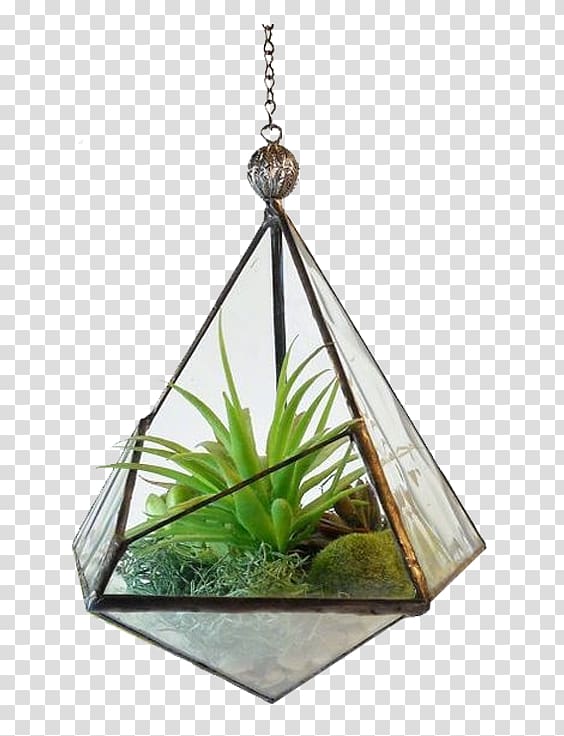 Terrarium Stained glass Geometry Plant, Walled potted aloe vera transparent background PNG clipart