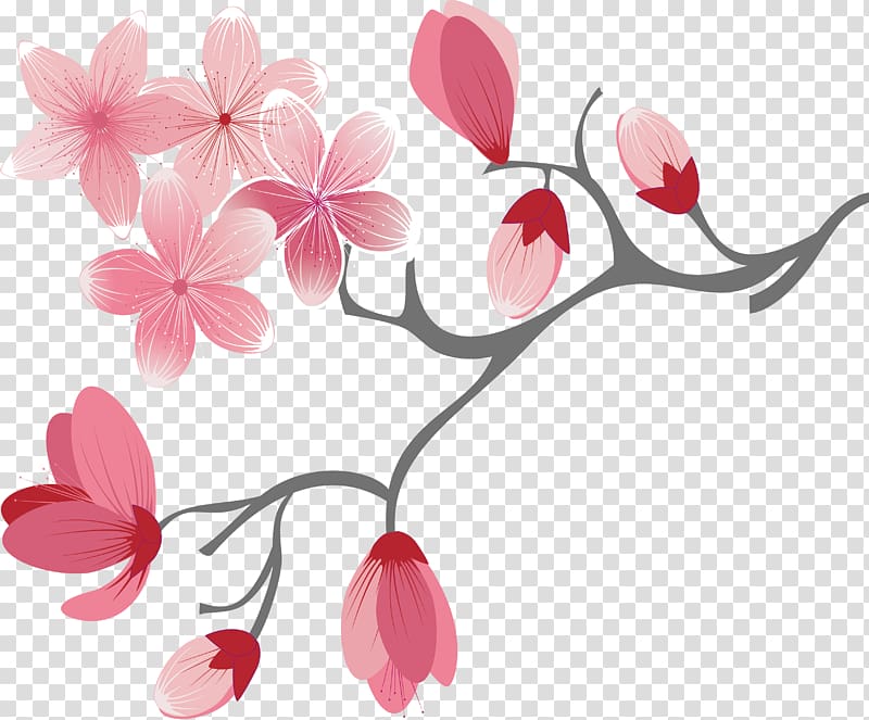 pink cherry blossom flowers , Cherry blossom, Cartoon pink cherry blossoms transparent background PNG clipart