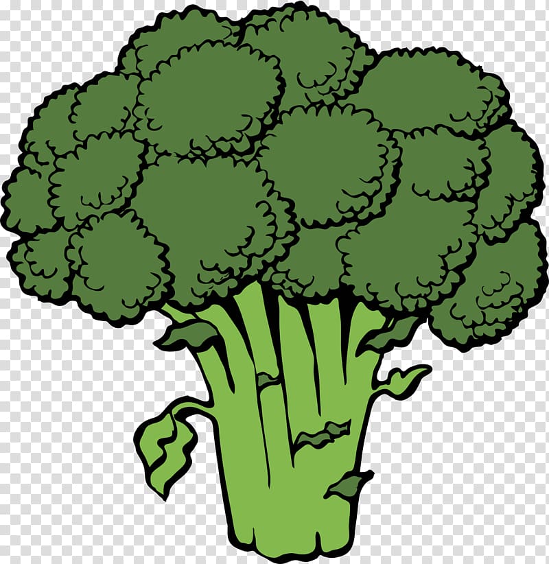 Broccoli Vegetable , Green cauliflower transparent background PNG clipart
