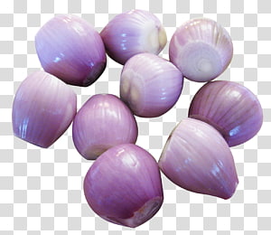 18,817 Purple Shallot Images, Stock Photos, 3D objects, & Vectors