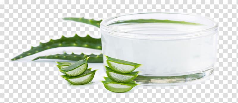 Aloe vera Tooth decay Dentistry Toothpaste, aloe transparent background PNG clipart