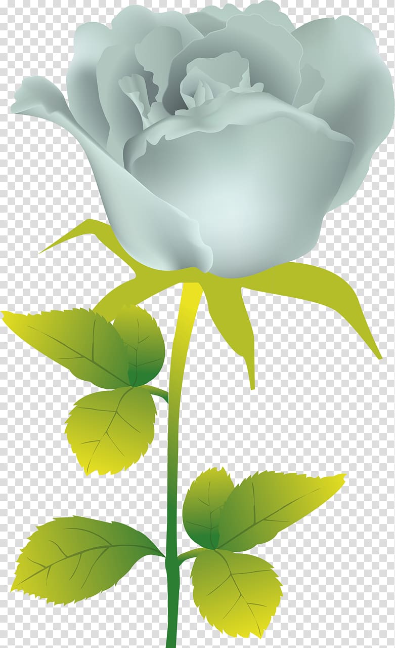 Rose Flower Painting, rose transparent background PNG clipart