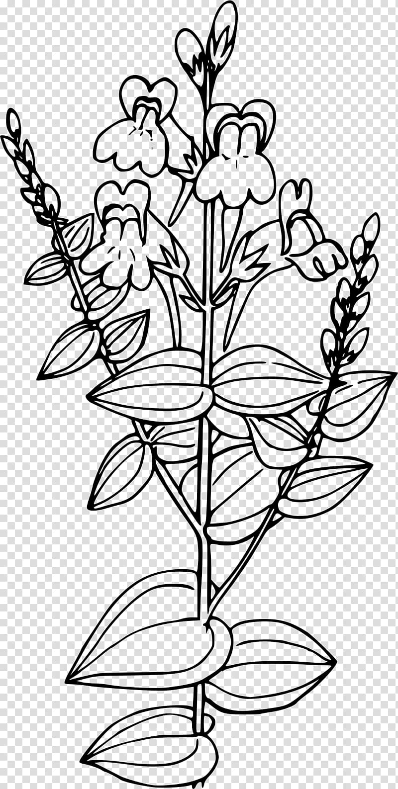 Linaria vulgaris , others transparent background PNG clipart