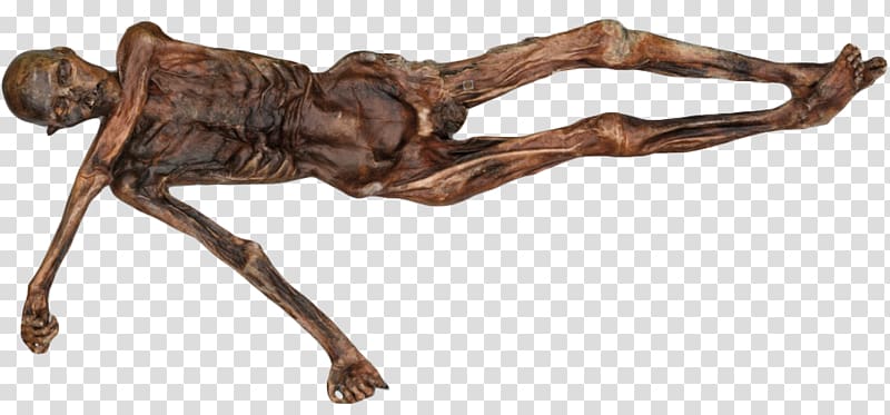 Ötzi Prehistory Ice Mummy: The Discovery of a 5,000-year-old Man The Iceman, mummy cartoon transparent background PNG clipart