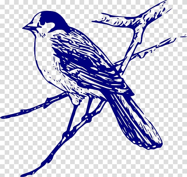Bluebird , blue bird transparent background PNG clipart