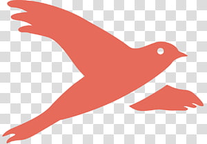 Beak Line , line transparent background PNG clipart thumbnail