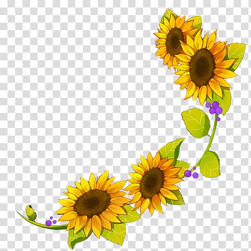 Common sunflower Sunflower seed Four Cut Sunflowers Yellow, flower transparent background PNG clipart