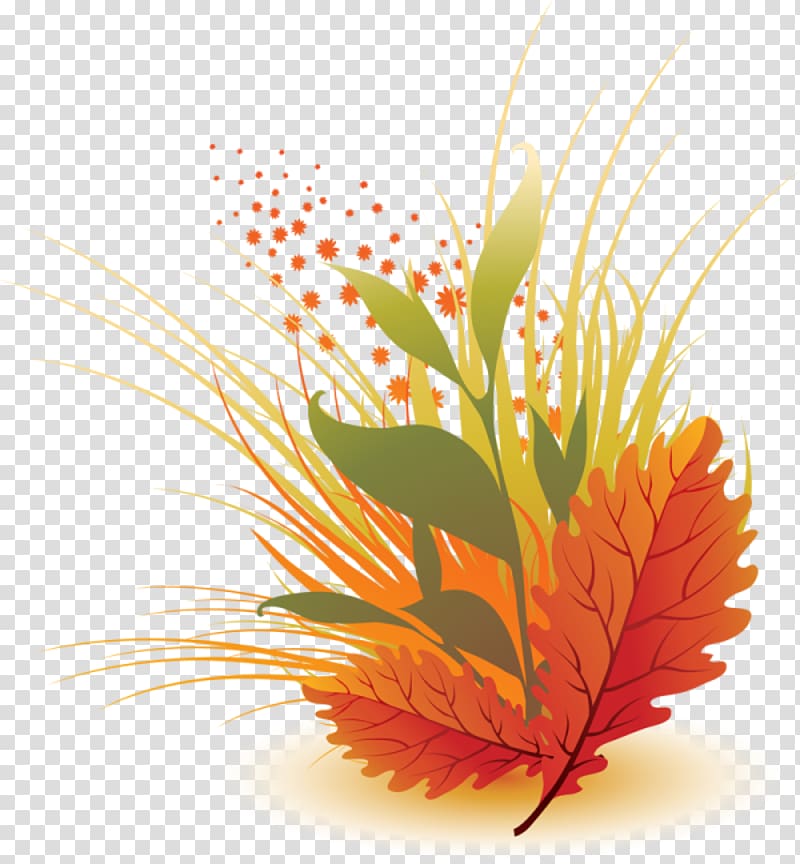 Leaf Desktop , Leaf transparent background PNG clipart