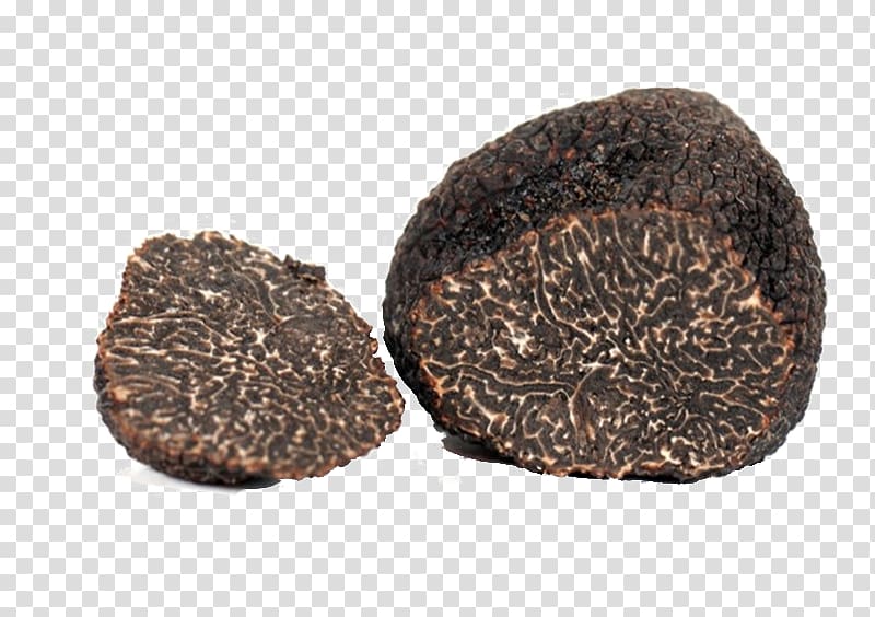 Périgord black truffle Piedmont white truffle Tuber aestivum Alba, Truffles transparent background PNG clipart