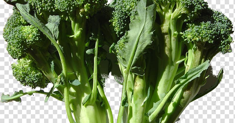 Broccoli Cauliflower Cabbage Kohlrabi Vegetable, broccoli transparent background PNG clipart