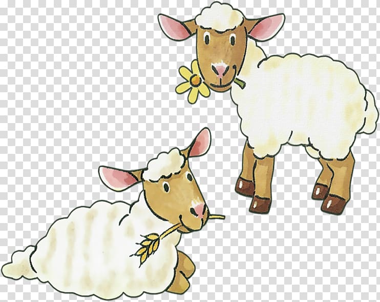 two white and brown sheeps illustration, Sheep–goat hybrid Sheep–goat hybrid Cattle , sheep transparent background PNG clipart