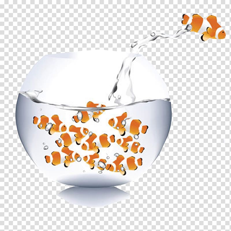 Carassius auratus Aquarium Ornamental fish, Aquarium fish tanks and bounce transparent background PNG clipart