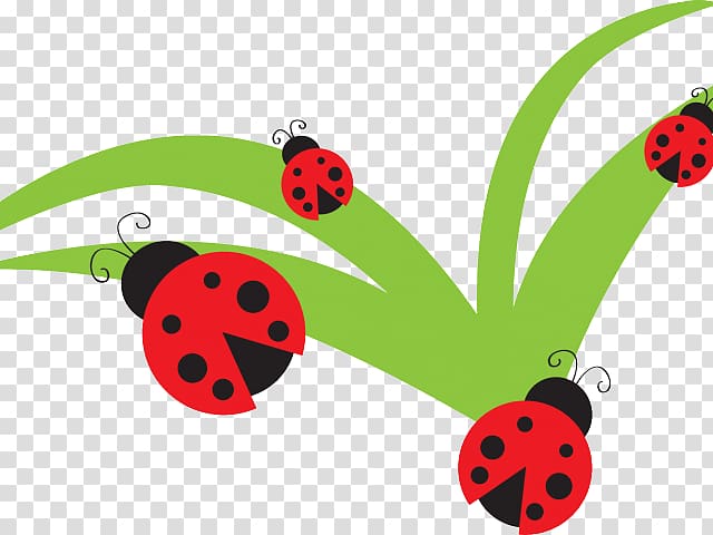 Free content Open Ladybird beetle Illustration, ladybug larva transparent background PNG clipart